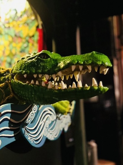 Krokodil close-up
